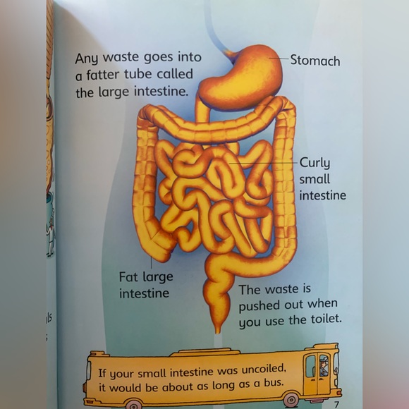 Usborne beginners- Why do we eat? - Picture 3 of 3